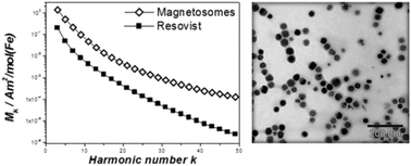 Graphical abstract: Bacterial magnetosomes – nature's powerful contribution to MPI tracer research