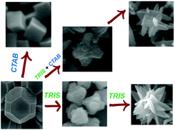 Graphical abstract: Shape control in ZIF-8 nanocrystals and metal nanoparticles@ZIF-8 heterostructures