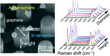 Graphical abstract: Far-field and near-field monitoring of hybridized optical modes from Au nanoprisms suspended on a graphene/Si nanopillar array