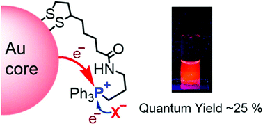 Graphical abstract: Gold nanoclusters with bright near-infrared photoluminescence