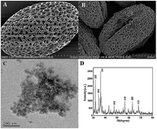 Graphical abstract: Construction of a novel xanthine biosensor using zinc oxide (ZnO) and the biotemplate method for detection of fish freshness