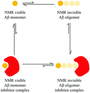 Graphical abstract: A solution NMR toolset to probe the molecular mechanisms of amyloid inhibitors