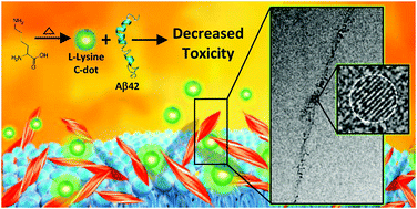 Graphical abstract: Chiral modulation of amyloid beta fibrillation and cytotoxicity by enantiomeric carbon dots