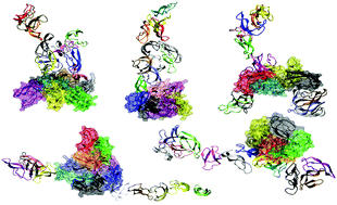 Graphical abstract: Probing the early stages of prion protein (PrP) aggregation with atomistic molecular dynamics simulations