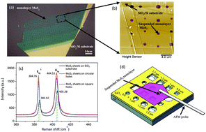 Graphical abstract: Hysteresis and its impact on characterization of mechanical properties of suspended monolayer molybdenum-disulfide sheets