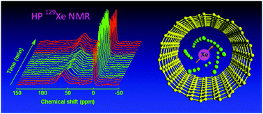 Graphical abstract: Mapping the dynamics of methanol and xenon co-adsorption in SWNTs by in situ continuous-flow hyperpolarized 129Xe NMR