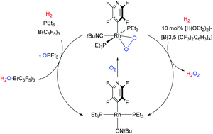 Graphical abstract: Reactivity of rhodium and iridium peroxido complexes towards hydrogen in the presence of B(C6F5)3 or [H(OEt2)2][B{3,5-(CF3)2C6H3}4]