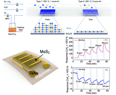 Graphical abstract: Low-temperature synthesis of 2D MoS2 on a plastic substrate for a flexible gas sensor