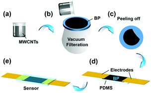 Graphical abstract: High performance strain sensor based on buckypaper for full-range detection of human motions