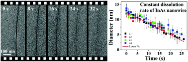 Graphical abstract: Constant-rate dissolution of InAs nanowires in radiolytic water observed by in situ liquid cell TEM
