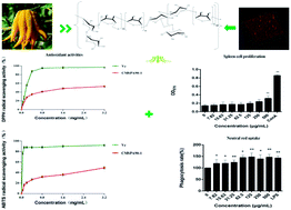 Graphical abstract: Structural characterization and immunoregulatory activity of a new polysaccharide from Citrus medica L. var. sarcodactylis