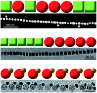 Graphical abstract: Cluster-mediated assembly enables step-growth copolymerization from binary nanoparticle mixtures with rationally designed architectures