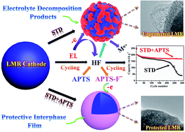 Graphical abstract: Converting detrimental HF in electrolytes into a highly fluorinated interphase on cathodes