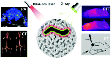 Graphical abstract: Platinum nanoworms for imaging-guided combined cancer therapy in the second near-infrared window