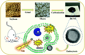 Graphical abstract: Hollow carbon nanospheres derived from biomass by-product okara for imaging-guided photothermal therapy of cancers