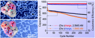Graphical abstract: Lithium dendrite-free plating/stripping: a new synergistic lithium ion solvation structure effect for reliable lithium–sulfur full batteries