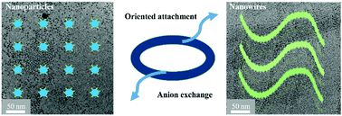 Graphical abstract: Reversible transformation between CsPbBr3 nanowires and nanoparticles