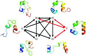 Graphical abstract: A novel folding pathway of the villin headpiece subdomain HP35
