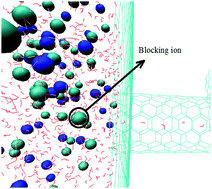 Graphical abstract: How ions block the single-file water transport through a carbon nanotube