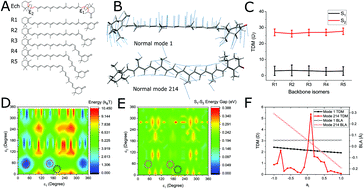 Graphical abstract: How carotenoid distortions may determine optical properties: lessons from the Orange Carotenoid Protein