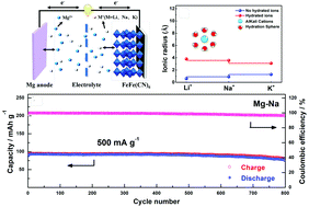 Graphical abstract: Rechargeable Mg–M (M = Li, Na and K) dual-metal–ion batteries based on a Berlin green cathode and a metallic Mg anode
