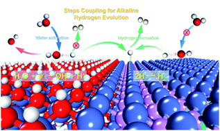 Graphical abstract: Accelerated alkaline hydrogen evolution on M(OH)x/M-MoPOx (M = Ni, Co, Fe, Mn) electrocatalysts by coupling water dissociation and hydrogen ad-desorption steps