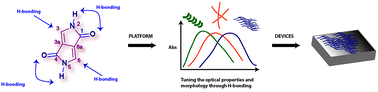 Graphical abstract: Hydrogen-bonded diketopyrrolopyrrole derivatives for energy-related applications