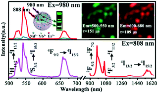 Graphical abstract: Dual-mode excitation β-NaGdF4:Yb/Er@β-NaGdF4:Yb/Nd core–shell nanoparticles with NIR-II emission and 5 nm cores: controlled synthesis via NaF/RE regulation and the growth mechanism