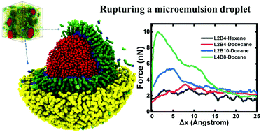 Graphical abstract: Stability, deformation and rupture of Janus oligomer enabled self-emulsifying water-in-oil microemulsion droplets