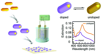 Graphical abstract: (Gold nanorod core)/(poly(3,4-ethylene-dioxythiophene) shell) nanostructures and their monolayer arrays for plasmonic switching