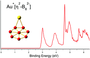 Graphical abstract: AuB8−: an Au–borozene complex