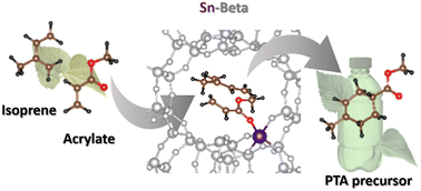 Graphical abstract: Lewis acid Sn-Beta catalysts for the cycloaddition of isoprene and methyl acrylate: a greener route to bio-derived monomers