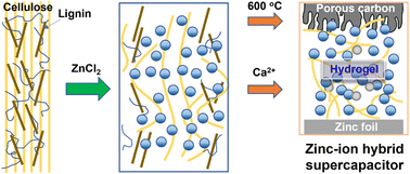 Graphical abstract: Comprehensive utilization of lignocellulosic biomass for the electrode and electrolyte in zinc-ion hybrid supercapacitors