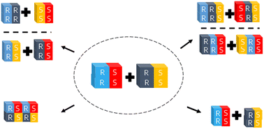 Graphical abstract: On the pairwise cocrystallization of racemic compounds