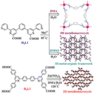 Graphical abstract: From zero-dimensional metallomacrocycle to three-dimensional metal–organic frameworks mediated by solvent polarity: near-white light emissions and gas adsorption properties