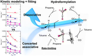 Graphical abstract: Kinetic modelling of cobalt-catalyzed propene hydroformylation: a combined ab initio and experimental fitting protocol
