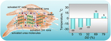 Graphical abstract: Rapid dissolution of chitin and chitosan with degree of deacetylation less than 80% in KOH/urea aqueous solution