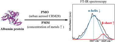 Graphical abstract: Effects of urban particulate matter on the secondary structure of albumin