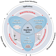 Graphical abstract: Developing 3D bioprinting for organs-on-chips