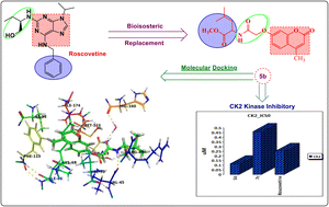 Graphical abstract: Coumarin–amino acid hybrids as promising anticancer agents: design, synthesis, docking studies and CK2 inhibition