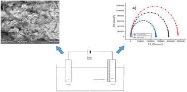 Graphical abstract: Unveiling the anti-corrosion properties of Zn-eggshell particle composite coatings on mild steel in seawater-simulated solution using starch as a modifier