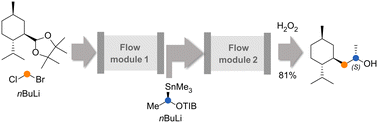 Graphical abstract: The “factory in a lab”: telescoping the Matteson and Matteson–Hoppe–Aggarwal boronate chemistry under flow conditions