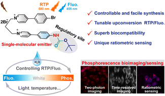 Graphical abstract: Aqueous up-conversion organic phosphorescence and tunable dual emission in a single-molecular emitter