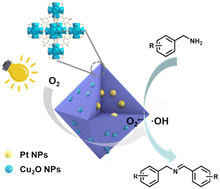 Graphical abstract: Enhancement of visible-light-driven photocatalytic oxidative amine coupling through light-induced carrier spatial separation