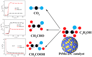 Graphical abstract: Ethanol electro-oxidation on a carbon-supported Pt–Mo electrocatalyst: a study by pinhole on-line differential electrochemical mass spectrometry