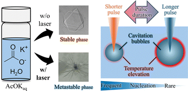 Graphical abstract: Metastable-phase crystallization of potassium acetate triggered by focused irradiation with ultrashort laser pulses