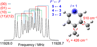 Graphical abstract: Complex hyperfine-fine structure overlapping in the microwave spectrum of 3,4-lutidine