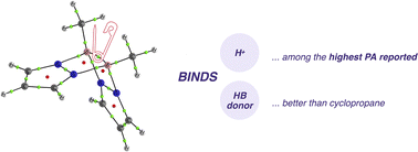 Graphical abstract: Boron beats nitrogen: strained boron–boron bonds as (molecular) proton sponges
