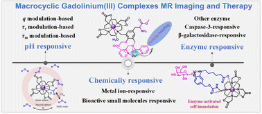 Graphical abstract: Recent advances in bioresponsive macrocyclic gadolinium(iii) complexes for MR imaging and therapy