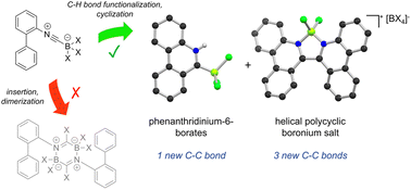 Graphical abstract: C–C bond-forming reactions of 2-isocyanobiphenyl·BX3 adducts: spontaneous construction of polycyclic heteroaromatics